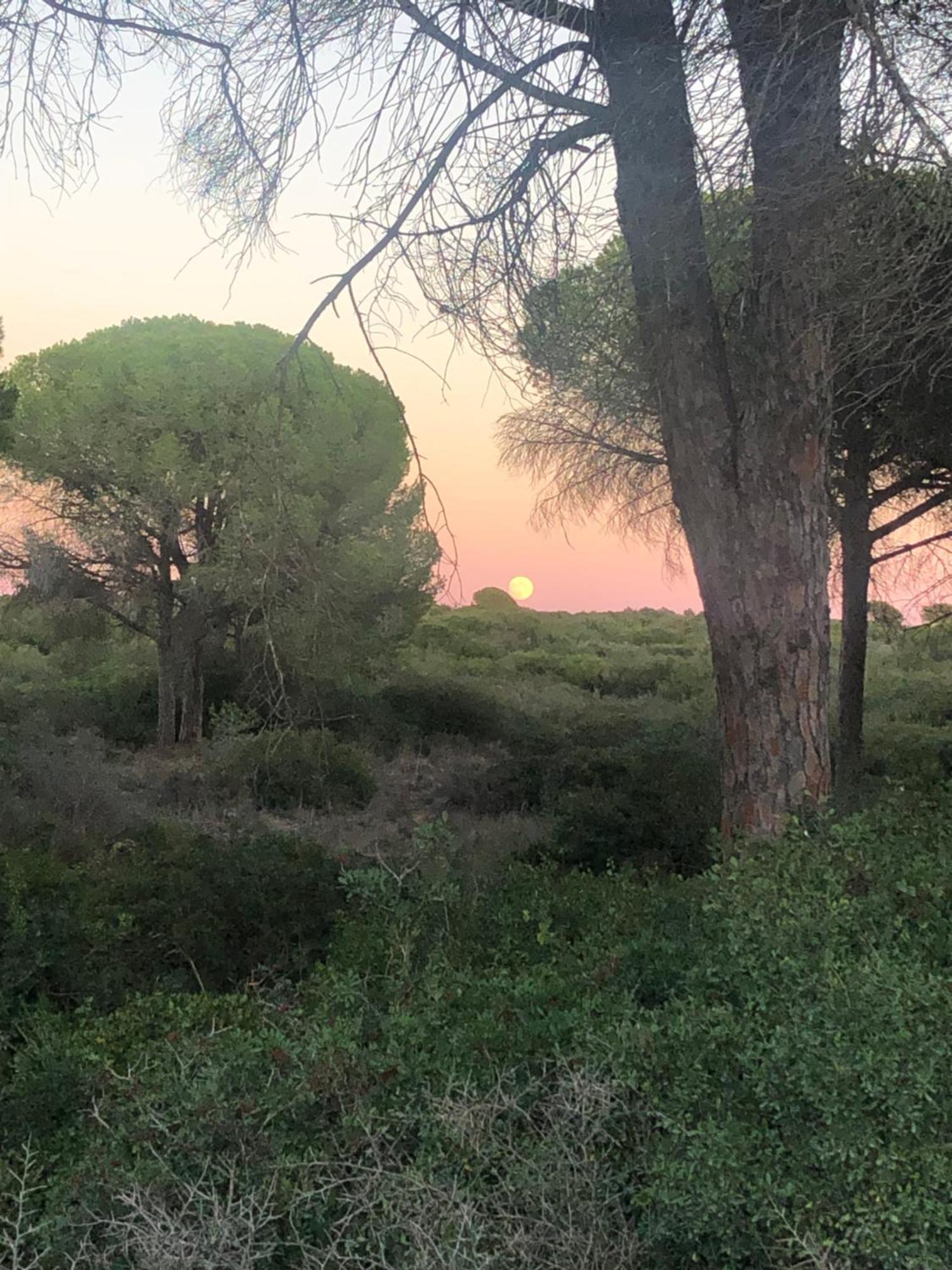 Casa Rural Los Pepe