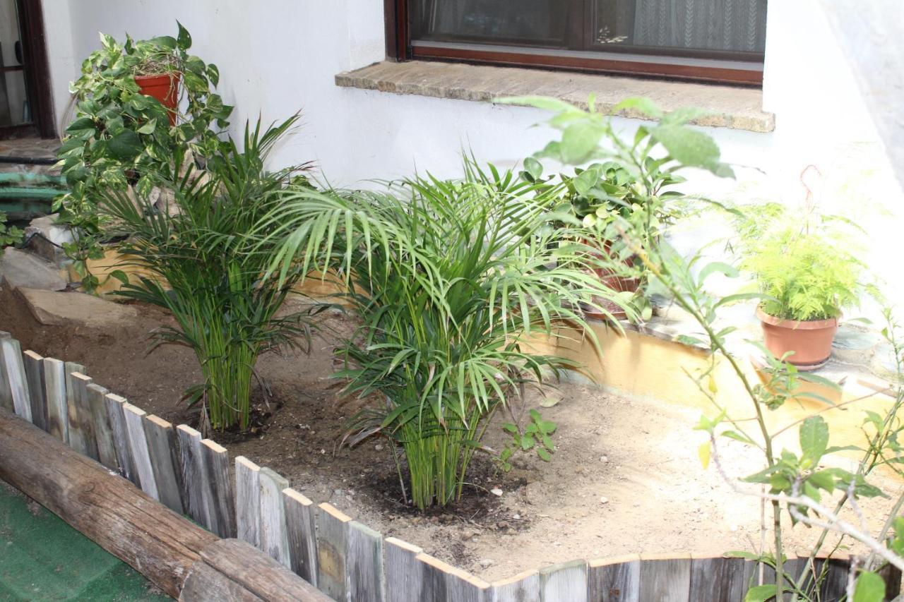 Casa Rural Los Pepe Country house *